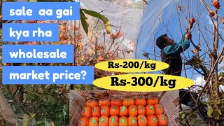 Persimmon fruit wholesale price ll क्या रहा Delhi मे ratell price update in 2023ll harvesting day2l [upl. by Netsrik]