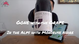 5 Gone with the Grape  in the Alps Savoie AOC [upl. by Llirred563]