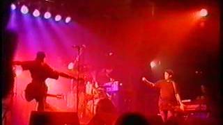 Shellac  Phoenix Festival  Warwickshire  July 17th 1994 Full Show [upl. by Ahsienod952]