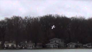 Coota Amphibian RC Sea Plane First flight [upl. by Erhart684]