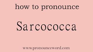 Sarcococca How to pronounce Sarcococca in english correct Start with S Learn from me [upl. by Rehpotirhc]