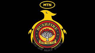 MTN Bushfire x Ballantines True Music DJ Dilson [upl. by Ynar]