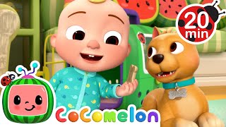 JJ Takes Care of Bingo Fun Pet Day  🍉 CoComelon  JJs Baby Songs 🎶 [upl. by Aitetel547]