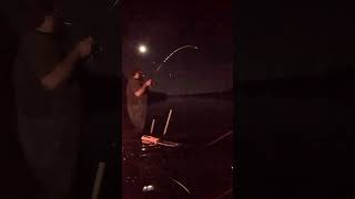 At least I didnt get skunked at Woods Reservoir TN fishing catfishing fish shorts shortvideo [upl. by Annahsed]