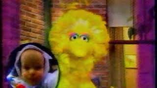 Big Bird amp Baby Bear From Sesame Street On The Oprah Winfrey Show [upl. by Yrolg]