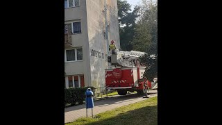 462C53 SHD 25 JRG 2 Inowrocław transport ratowników na balkon mieszkania [upl. by Olifoet]