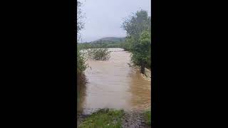 Flooding on west Cork farm [upl. by Kokoruda]