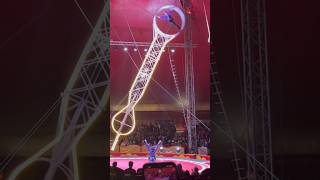 EP7  Wheel Of Death  circus dipankarsanyalshorts familyvlog viralvideo viralshorts [upl. by Anastasius]