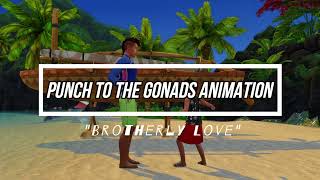 Sims 4 Punch To The Gonads Animation quotBrotherly Lovequot Early Access [upl. by Uphemia982]