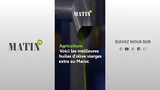 Agriculture  Voici les meilleures huiles dolive vierges extra au Maroc [upl. by Torrell]