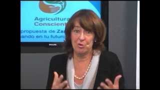 Disposición de envases vacíos de Agroquímicos [upl. by Bazluke]