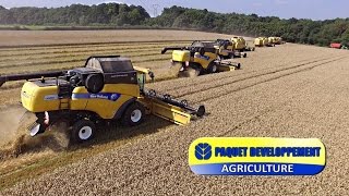 7× New Holland XXL Harvest in France  Paquet Développement [upl. by Hax]