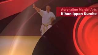 Kihon Ippon Kumite [upl. by Llered]