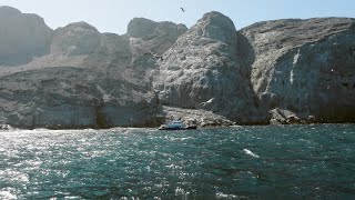 Mission Blue Malpelo Island Hope Spot – Ep 2 [upl. by Dorothee]