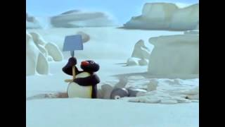 PINGU KOPLE JAMO sinhronizirano [upl. by Cranford]