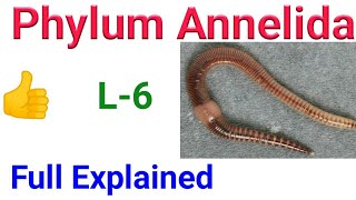 Animal kingdom  phylum Annelida ncert Annelida in Hindi classification of annelida [upl. by Alanah]