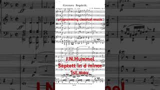 JNHummel Septett No1 1stmov classicalmusic piano hummel dtm [upl. by Aimahs22]