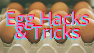 Best Ways On How To Cook Eggs  Cool Egg Hacks amp Tricks eggs howto cooking howtocook hack [upl. by Anavoig]