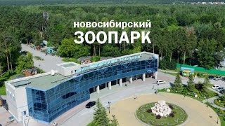 Зоопарки в России Новосибирск  Zoos in Russia Novosibirsk [upl. by Drusi]