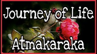 Atmakaraka  Explore your Potential and Challenges through Astrology [upl. by Hcone]