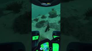 FLIPPANT LAMBIANCE  subnautica letsplay decouverte [upl. by Barron]