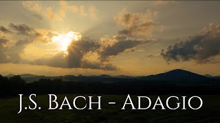 JS Bach  Adagio A short piece for strings and piano [upl. by Anileba]