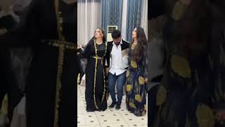 Kurdish Dance Kurdish Culture Kurdish Folklore shorts shortvideo youtubeshorts trending lore [upl. by Aleta]