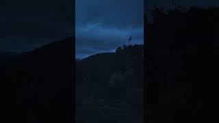 Dark Forest XXI nature naturephotography darkaesthetic aesthetics bluehour foryou fyp [upl. by Barta]