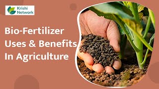 What are BioFertilizer and Its Uses  Organic Farming  Krishi Network [upl. by Anirtak]