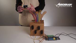 RoboHand  Hummingbird Robotics Kit amp microbit [upl. by Humble81]