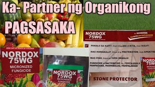 Nordox 75WG Micronized Fungicide  Ka Partner ng Organikong Pagsasaka [upl. by Asyal]