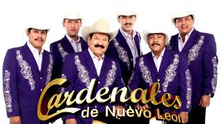 LOS CARDENALES DE NUEVO LEON  MIX  LAS MAS DOLIDAS [upl. by Ledah]