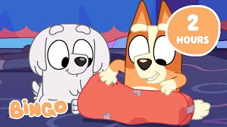 🔴LIVE Bingos Big Adventure 🤩🧡  Get Exploring with Bingo and Bluey 🌎  Bingo [upl. by Trojan]