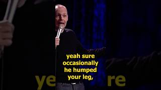 Bill Burr about getting dogs fixed shorts comedyvideos standupcomedy [upl. by Lrub635]