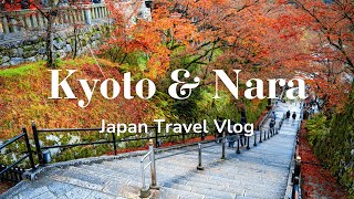 Trip to Kyoto amp Nara  First Time in Japan 🇯🇵  Travel Vlog [upl. by Avehsile]