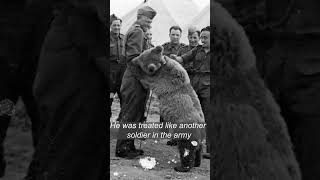 Wojtek – the Bear That Went To War and became a Hero [upl. by Alanna]