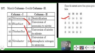 match column 1 with 2 denitrifying bacteria is thiobacillus [upl. by Dnomder]