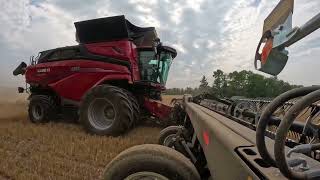 New Case IH AF11 Combine Harvesting Corn Soybeans amp Wheat GoBig [upl. by Neslund238]