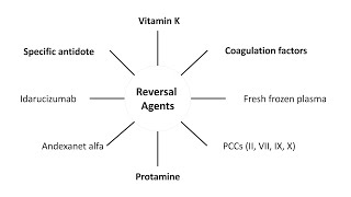 Anticoagulant Reversal [upl. by Defant316]