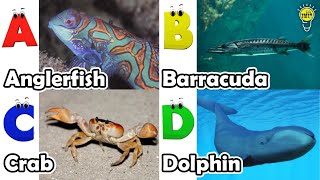 ABC Sea Animals song  Learn Alphabets  English and Animals for Kids  Alphabets Kids Song [upl. by Zita185]