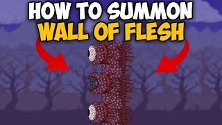 Can The Wall Of Flesh Get INCREDIBLY SMALL In Terraria [upl. by Lettig315]