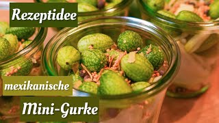 Mexikanische Minigurke 🥒 Rezeptidee 🥒 Gurken haltbar machen 🙌🏻 [upl. by Tila]