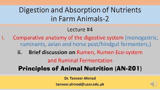 Lecture4Comparative anatomy of the digestive systemLecture Series in Animal Nutrition [upl. by Nivlag]