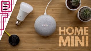 What the Google Home Mini can do in your Smart Home [upl. by Winters794]