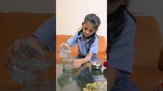 electrolysis experiment by Adritya Tewari [upl. by Radu]