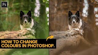 How to change colours in Photoshop  Change summer to fall in a few clicks [upl. by Iverson]