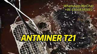 Antminer T21 [upl. by Annahaj640]