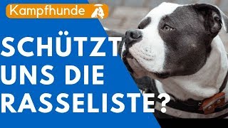 Kampfhunde  Schützt uns die Rasselitse wirklich [upl. by Ainet]