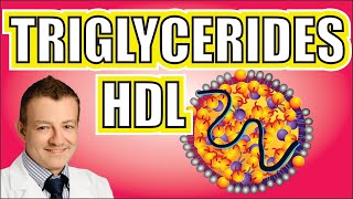 Triglyceride to HDL Ratio Matter Americas Cardiologist Explains [upl. by Neelloc]