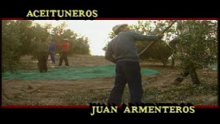 Aceituneros de Montejícar en la recolección de aceitunas de Jaén 1990 [upl. by Jaworski]